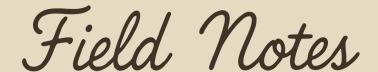 Frontier Learning Lab Field Notes