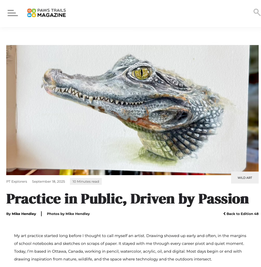 A screen shot of a caiman in watercolour which is the first image of an article on Paws Trails Magazine titled Practicing in Public, Driven by Passion