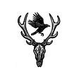 Stag and Crow's avatar
