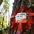 "But We Can't Go Backwards!"