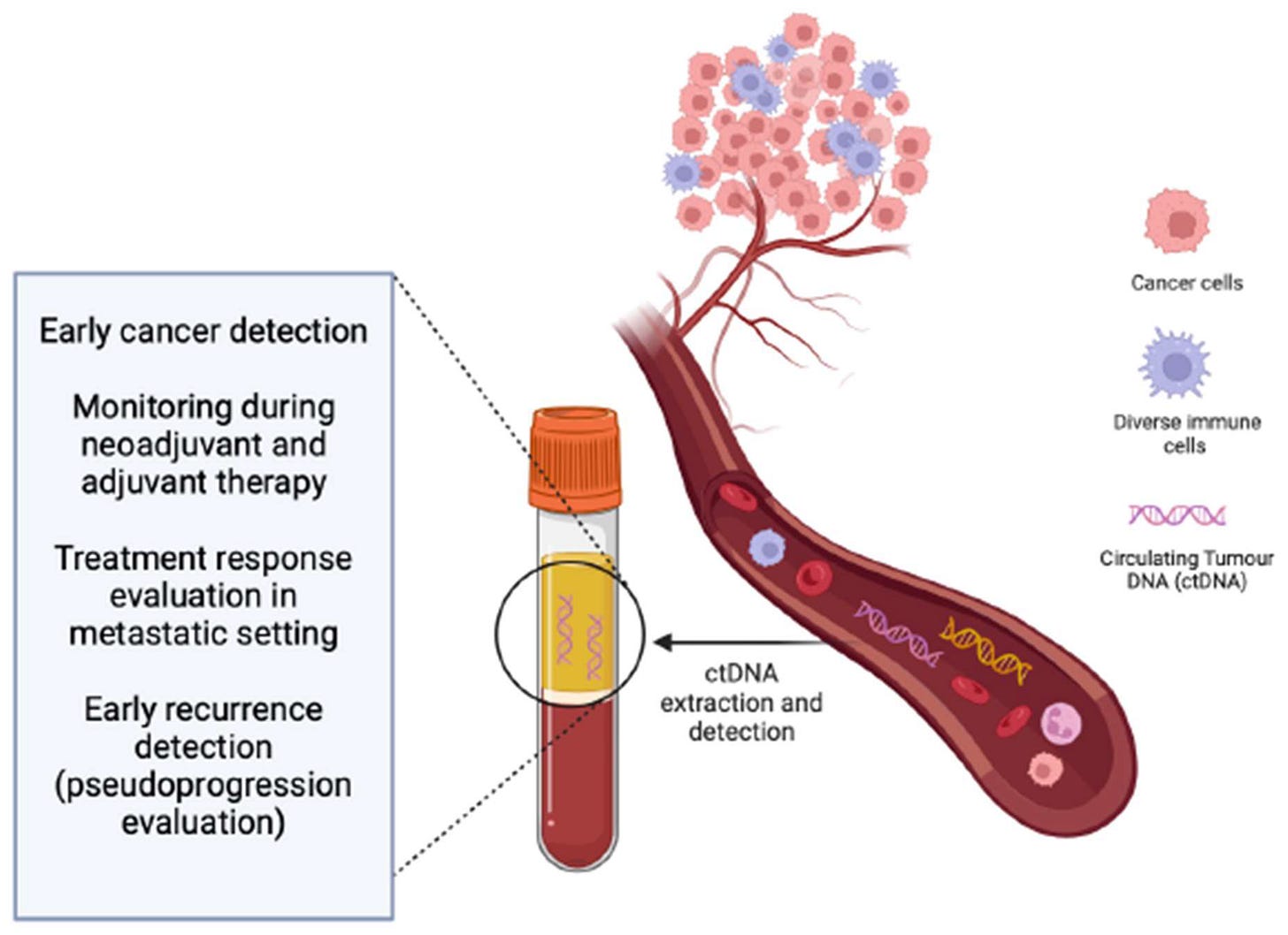 Harnessing ctDNA in Advanced Melanoma: A Promising Tool for Informed ...