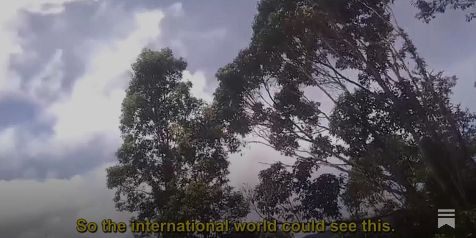 https://www.dropsitenews.com/p/west-papua-liberation-army-indonesia-counterinsurgency-star-mountains-china-france-weapons-lamek-taplo social preview image