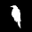 مُ's avatar