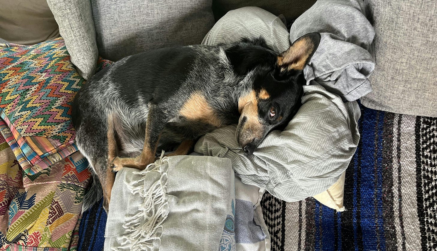 038: In Search of Freedom, or Free from Searching? 038: In Search of Freedom, or Free from Searching?