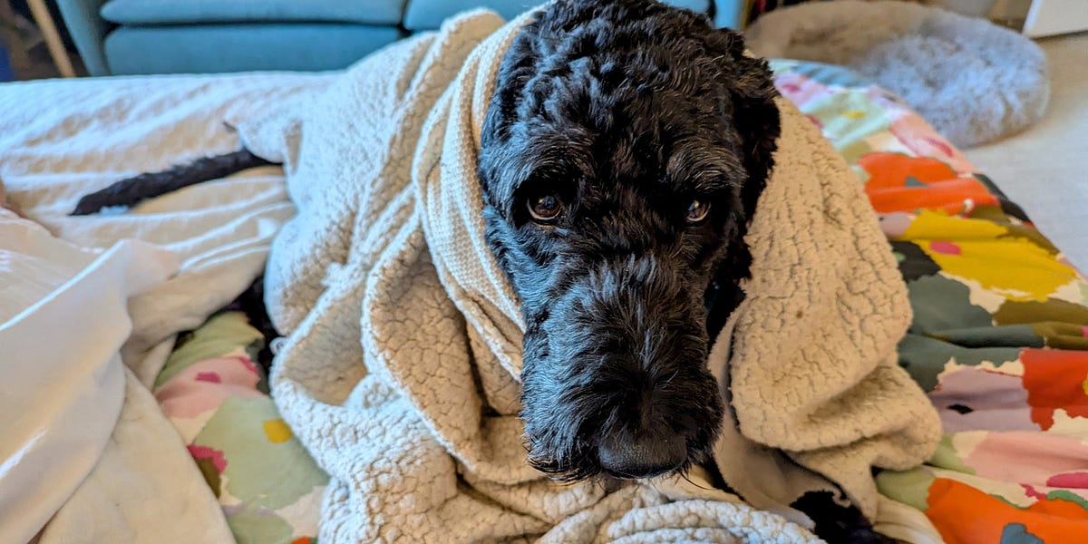 80% isn't very good.