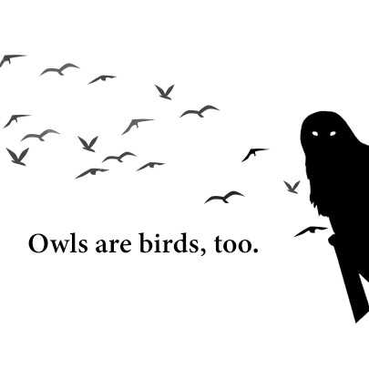 Owls Are Birds, Too