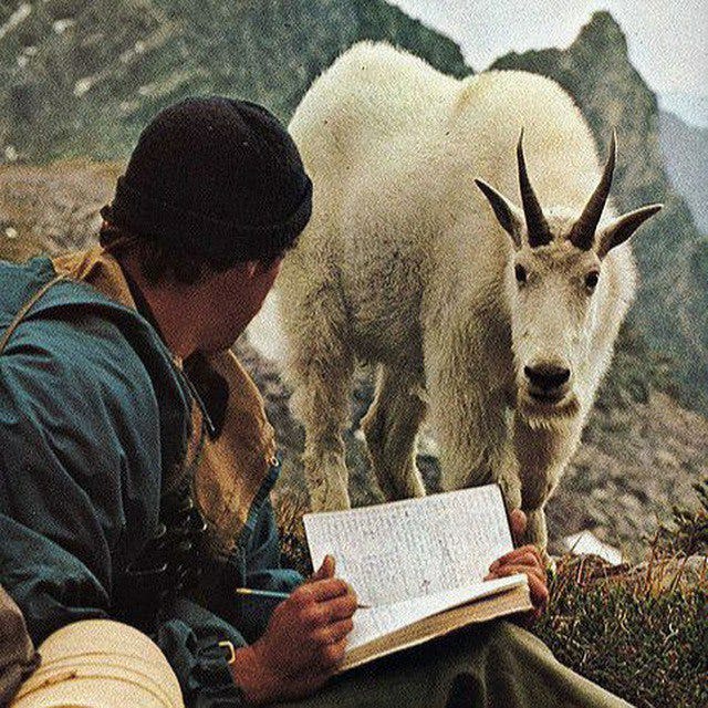 SemperCredula’s Substack