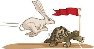 Slow and steady' will win you zero races — The Kelley Black Book