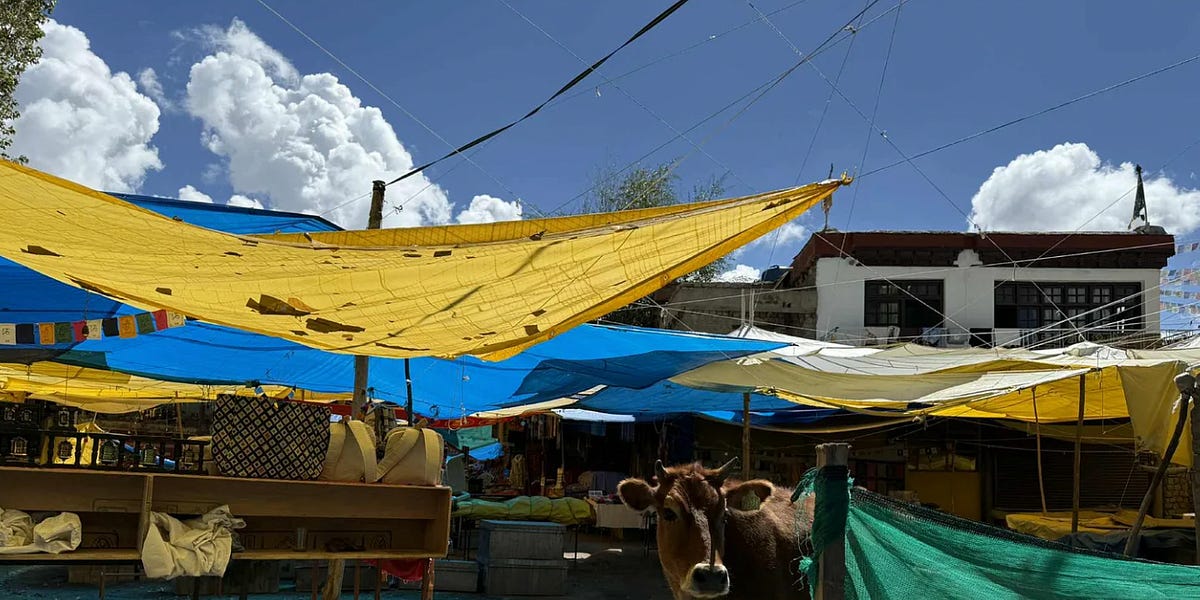 The Will to Order - Rise and Fall of the Neuralink Society