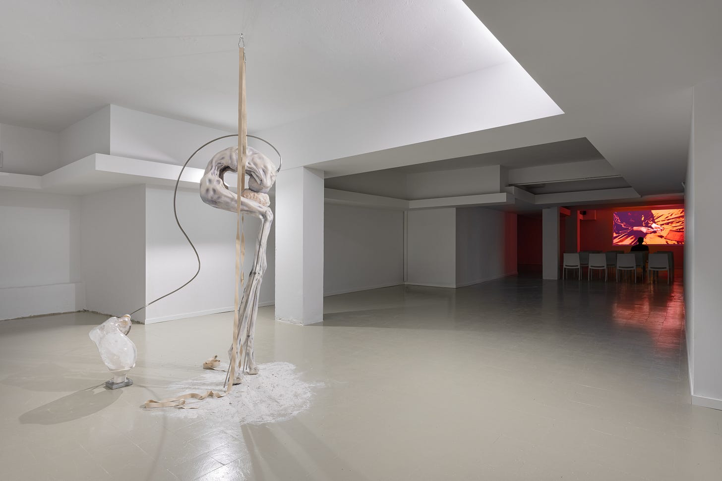 "Bloodchild. Scene from a Symbiosis". Installation view. Photo Nicola Morittu, courtesy Fondazione Spazio Vitale, Verona "Bloodchild. Scene from a Symbiosis". Installation view. Photo Nicola Morittu, courtesy Fondazione Spazio Vitale, Verona