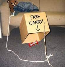 box trap