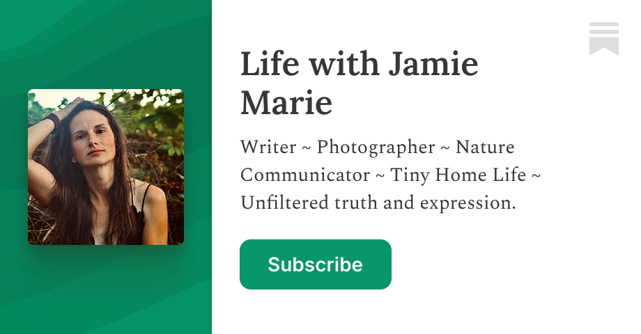 Life with Jamie Marie | Substack