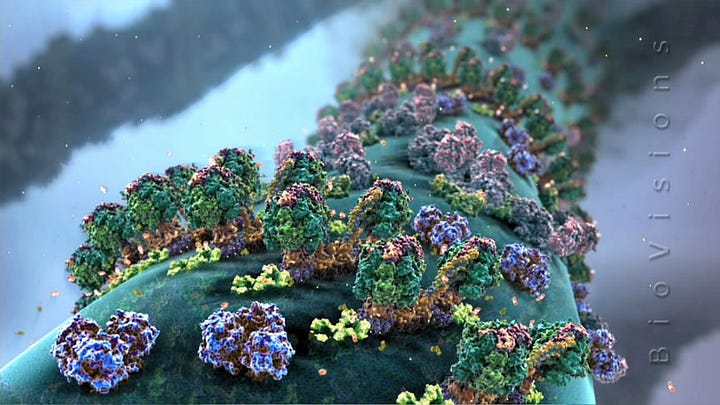 Still images from a molecular animation of the microscopic world of mitochondria.