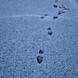 Walking Life's avatar