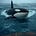 Orca's Capital Strategies's avatar