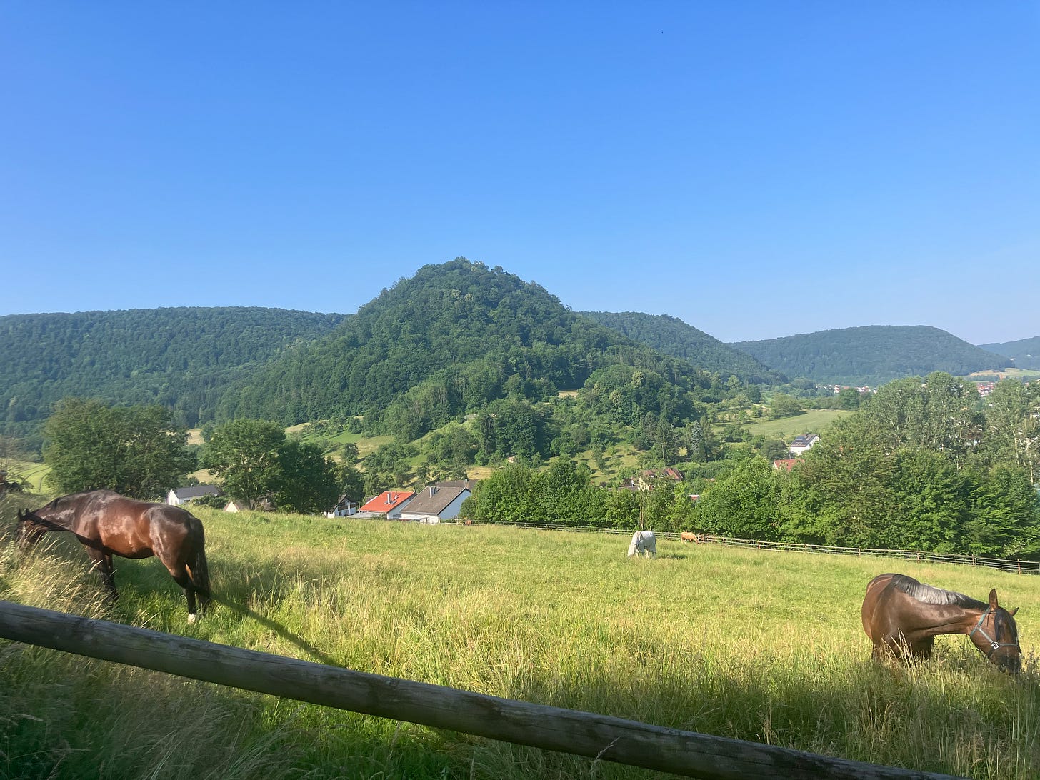 Landschaftsbild Bad Ditzenbach