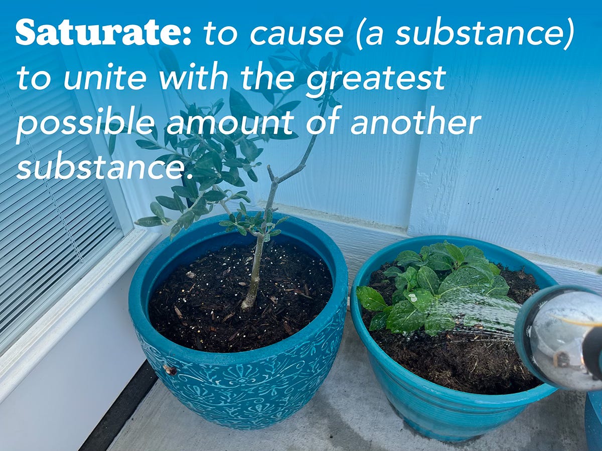 Saturate: to cause (a substance) to unite with the greatest possible amount of another substance