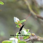 The Unexpected Joy of Springtime