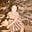 Peg Matthews Grady's avatar