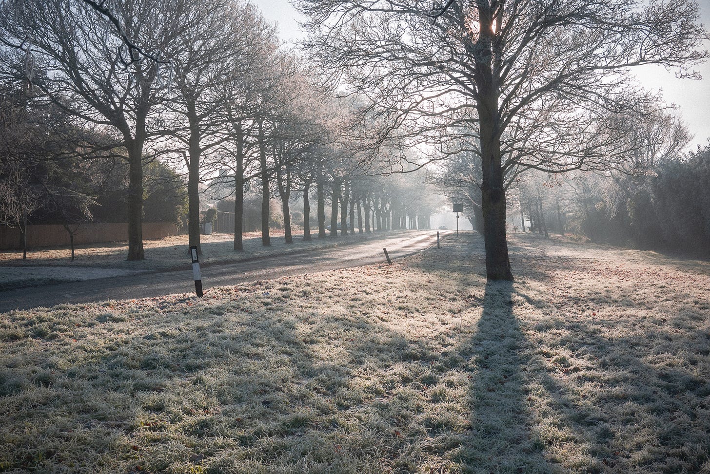 A road winds through a wintery landscape. On either side of the road are tall trees.