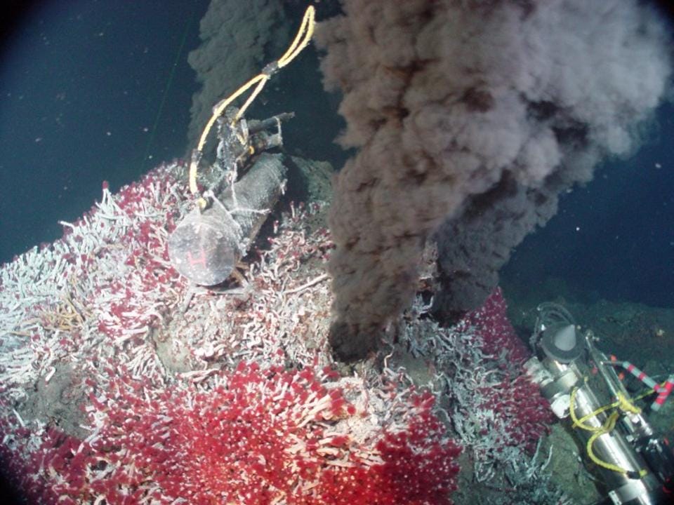 Metabolism, not cells or genetics, may have begun life on Earth