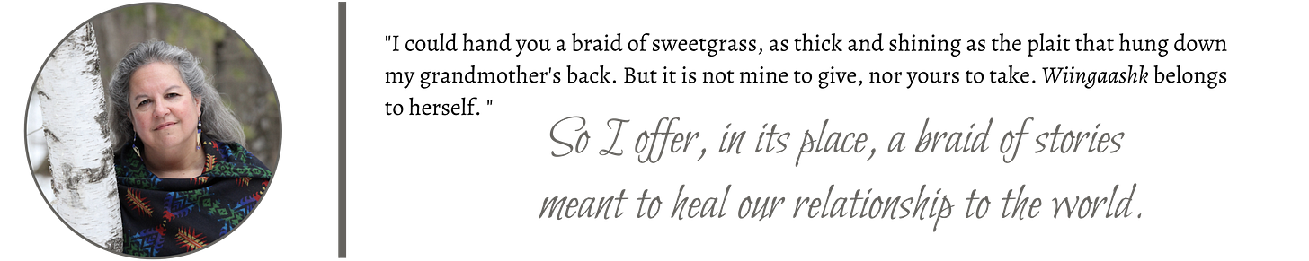 quote banner.png quote banner.png