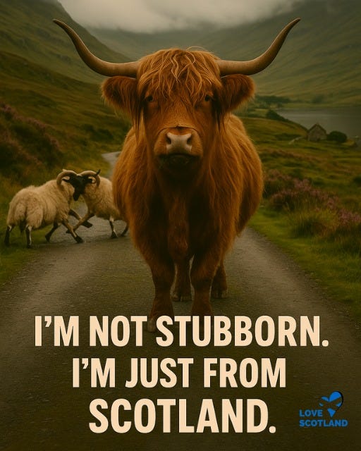 May be an image of text that says "I'M NOT STUBBORN. I'M JUST FROM SCOTLAND. LOVE SCOTLAND"