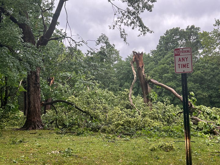 Two photos - one showing a very threatening gray sky and the other showing downed trees after a bad storm