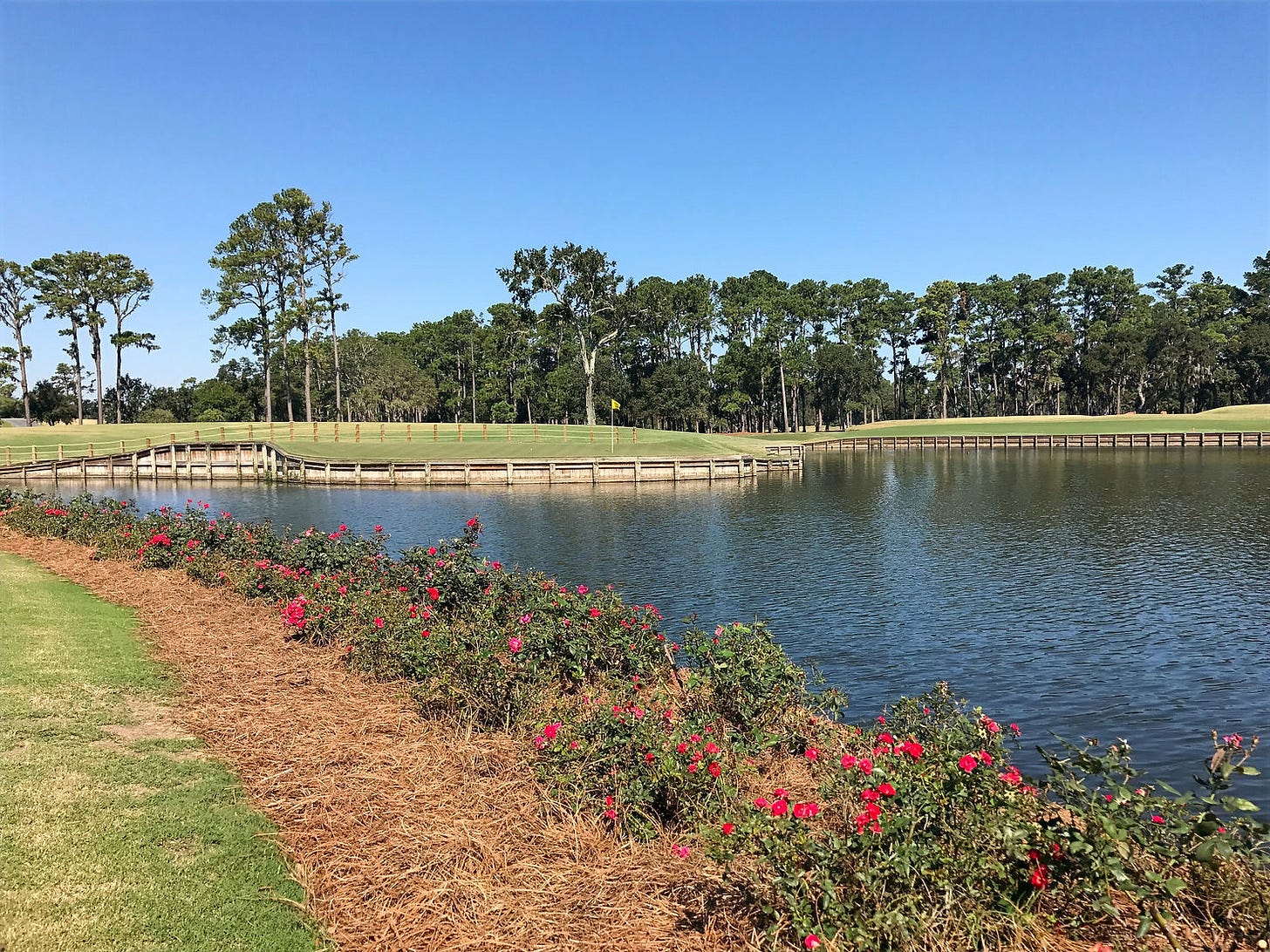 A view of the 17th hole and island green at TPC Sawgrass. A view of the 17th hole and island green at TPC Sawgrass.