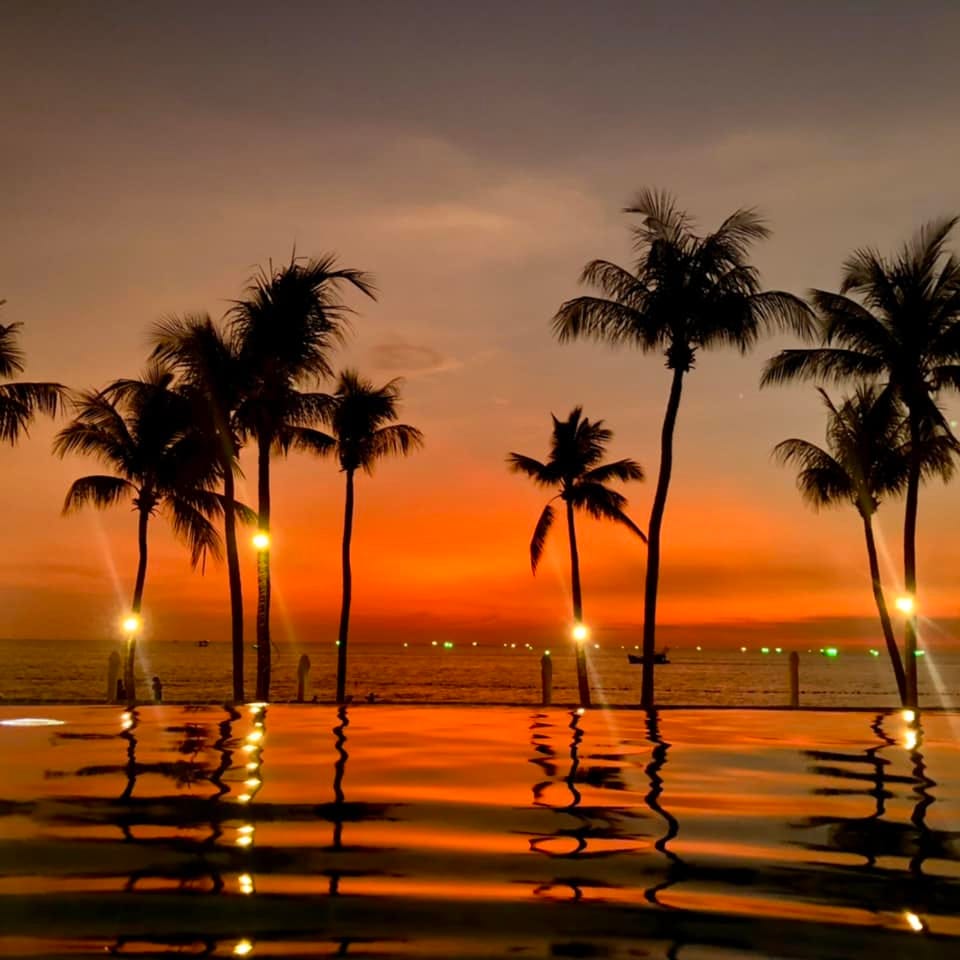 May be an image of body of water, sky, palm trees, twilight and nature
