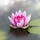 Mindful Teaching/ Mindful Living
