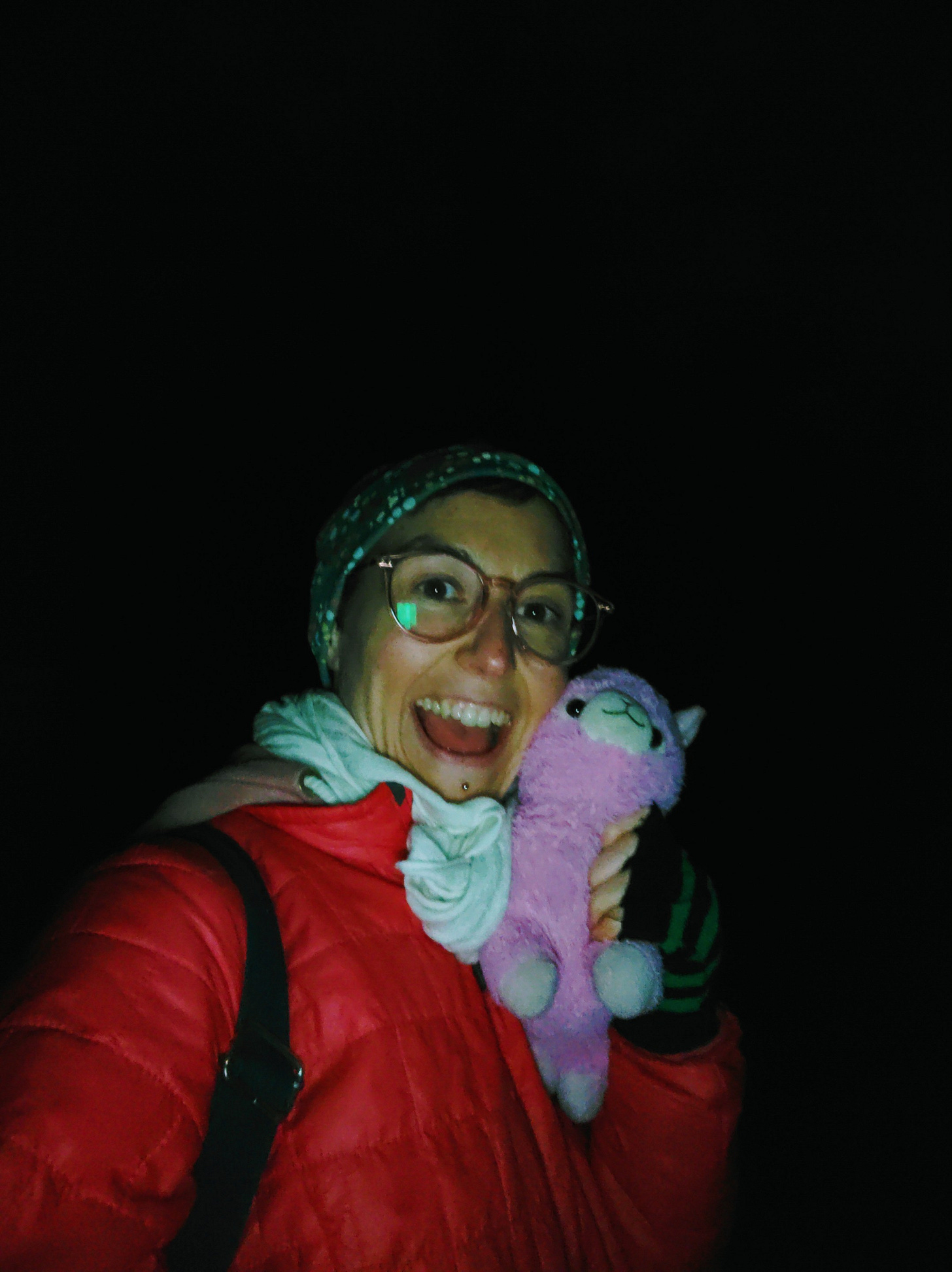 The author took a selfie in the forest at night. She is wearing her glasses, a hat, and a bright red jacket. She has a surprised look on her face while she's holding a pink llama stuffed animal.
