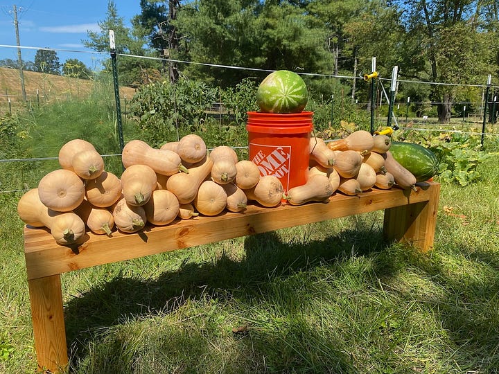 Vegetables grown from the garden.