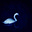 Shahd's avatar
