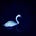 Shahd's avatar