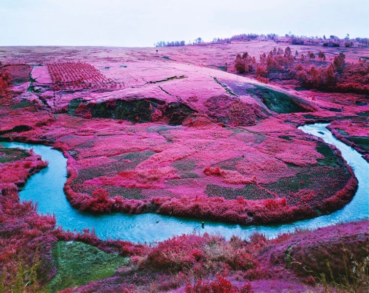 Richard Mosse | Beast of Burden, 2015 | Art Basel