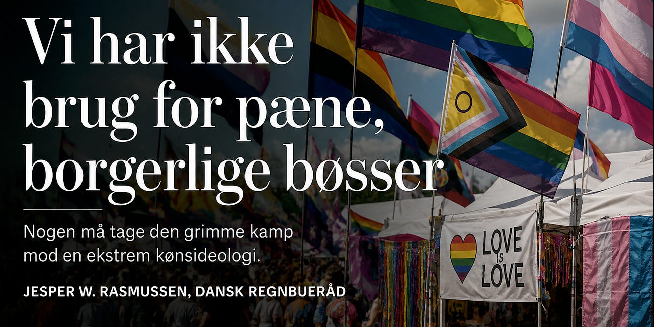 Kampen er grim og vi har ikke brug for pæne, borgerlige bøsser 