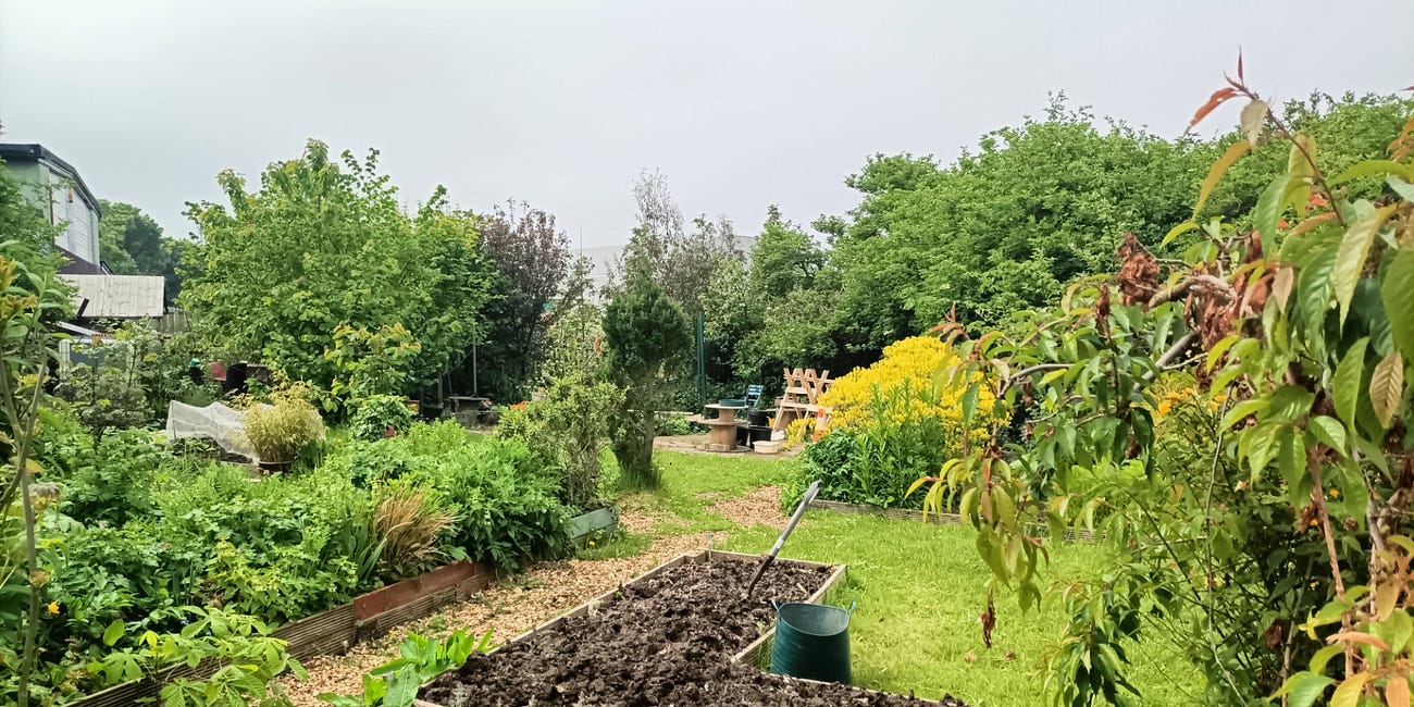 Discover North Tyneside’s hidden gardens