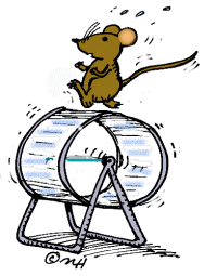 Rodent Cardiovascular Phenotyping Core | Cardiovascular ...