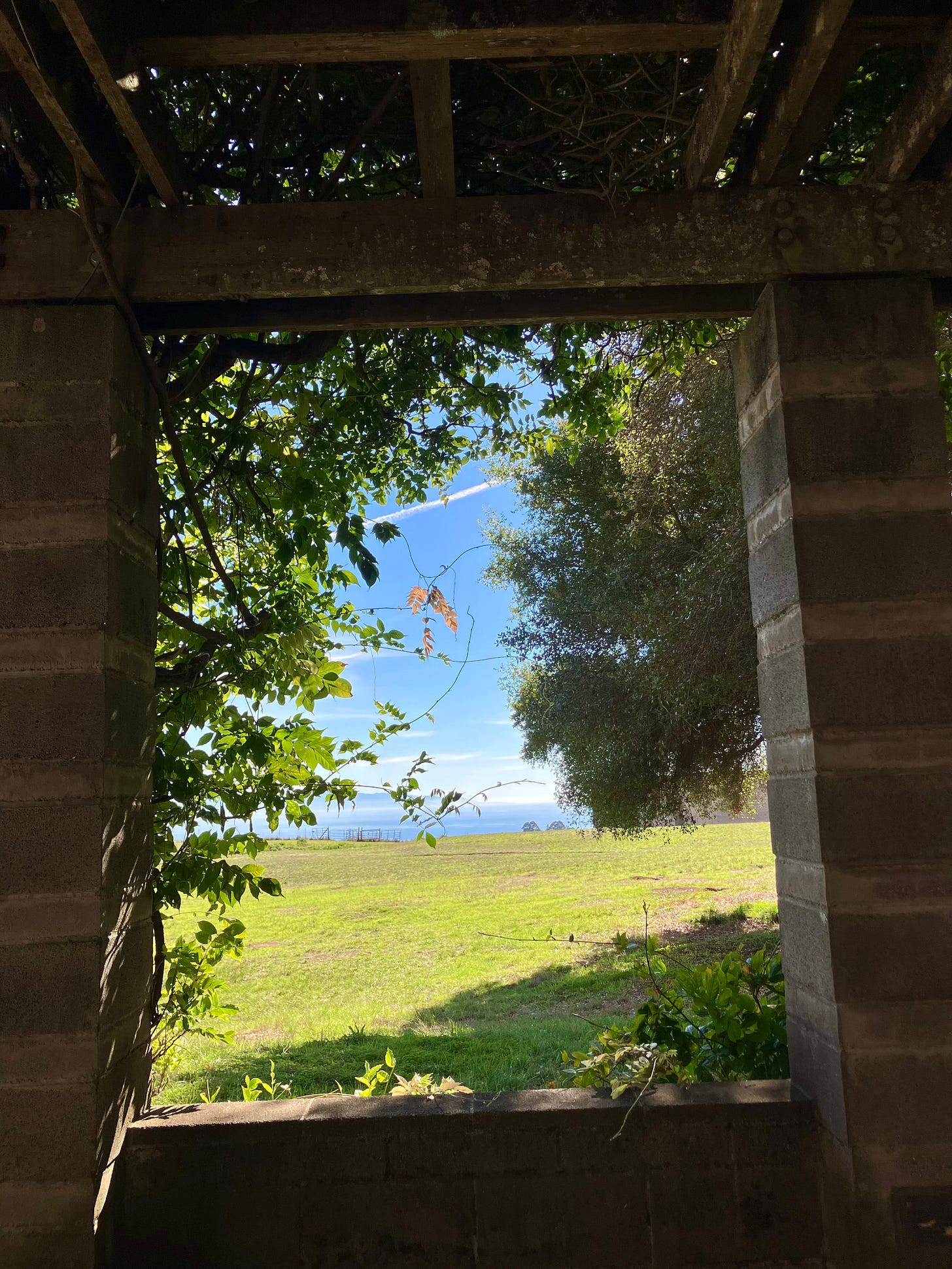 The view from a wooden cabin window looking out on a green expanse and a blue sky The view from a wooden cabin window looking out on a green expanse and a blue sky
