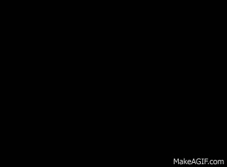 chuck norris GIF chuck norris GIF