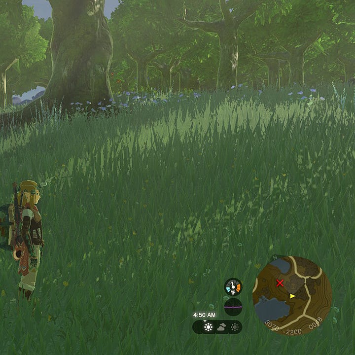 Screen grabs featuring grass from The Legend of Zelda: The Tears of the Kingdom video game.