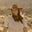 Good Things, Lately's avatar