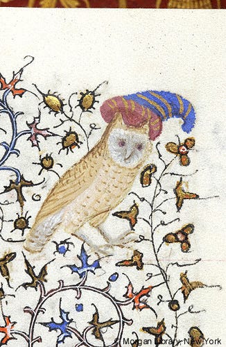 Medieval drawings of a castle, owl, cat and bat