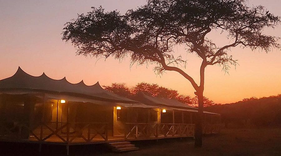 SIGNATURE SERENGETI LUXURY TENTED SAFARI CAMP - Updated 2026 ...