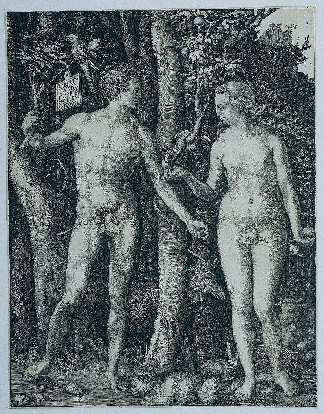 Albrecht Durer, Adam and Eve, 1504 Albrecht Durer, Adam and Eve, 1504