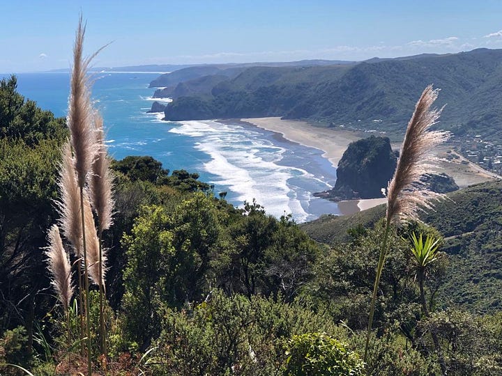 Two views of Auckland's wild West Coast, showing the sweeping coastline at Karekare Beach and the dramatic cliffs and sea stack at Piha Beach.