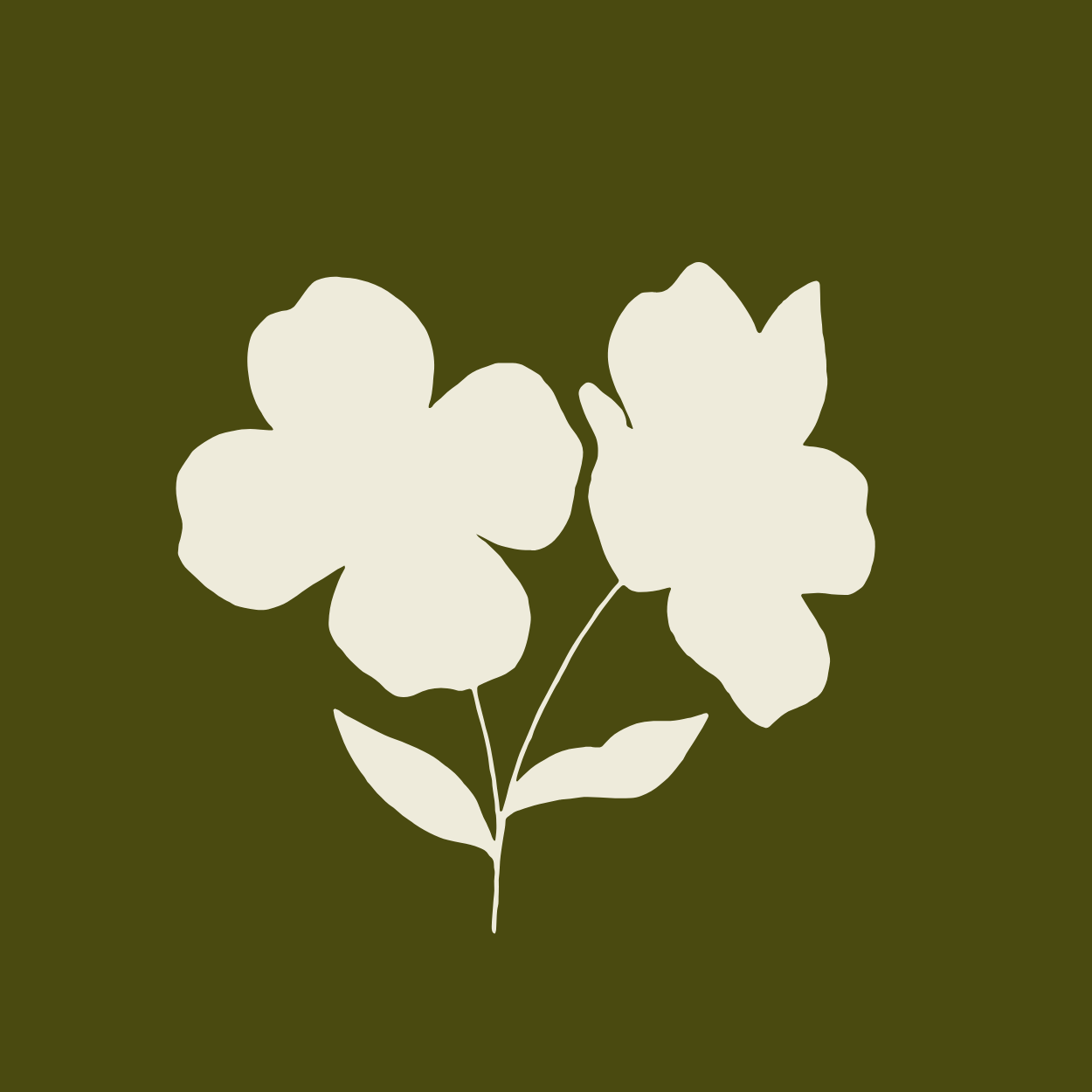 State of the Studio with Catherine Dolaher