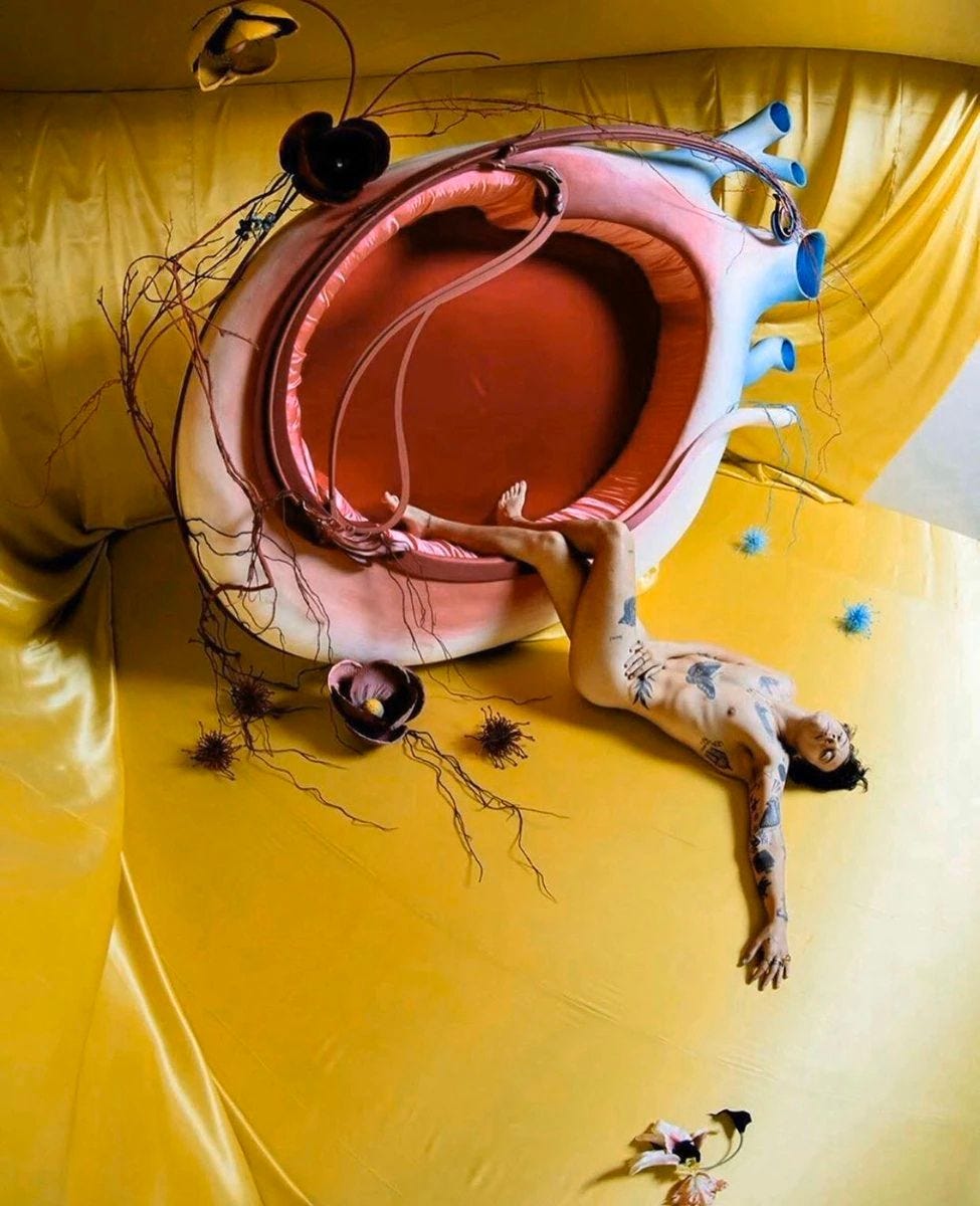 Harry Styles Fine Line Inner booklet artwork