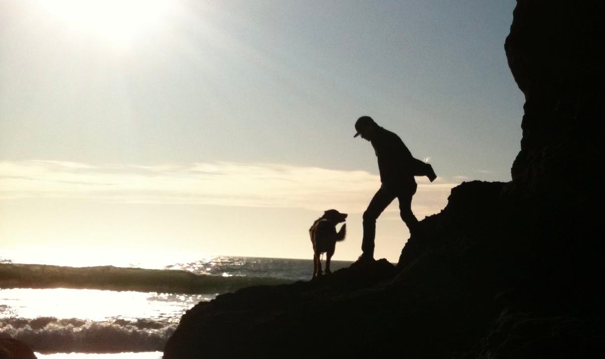man and dog on rock near ocean